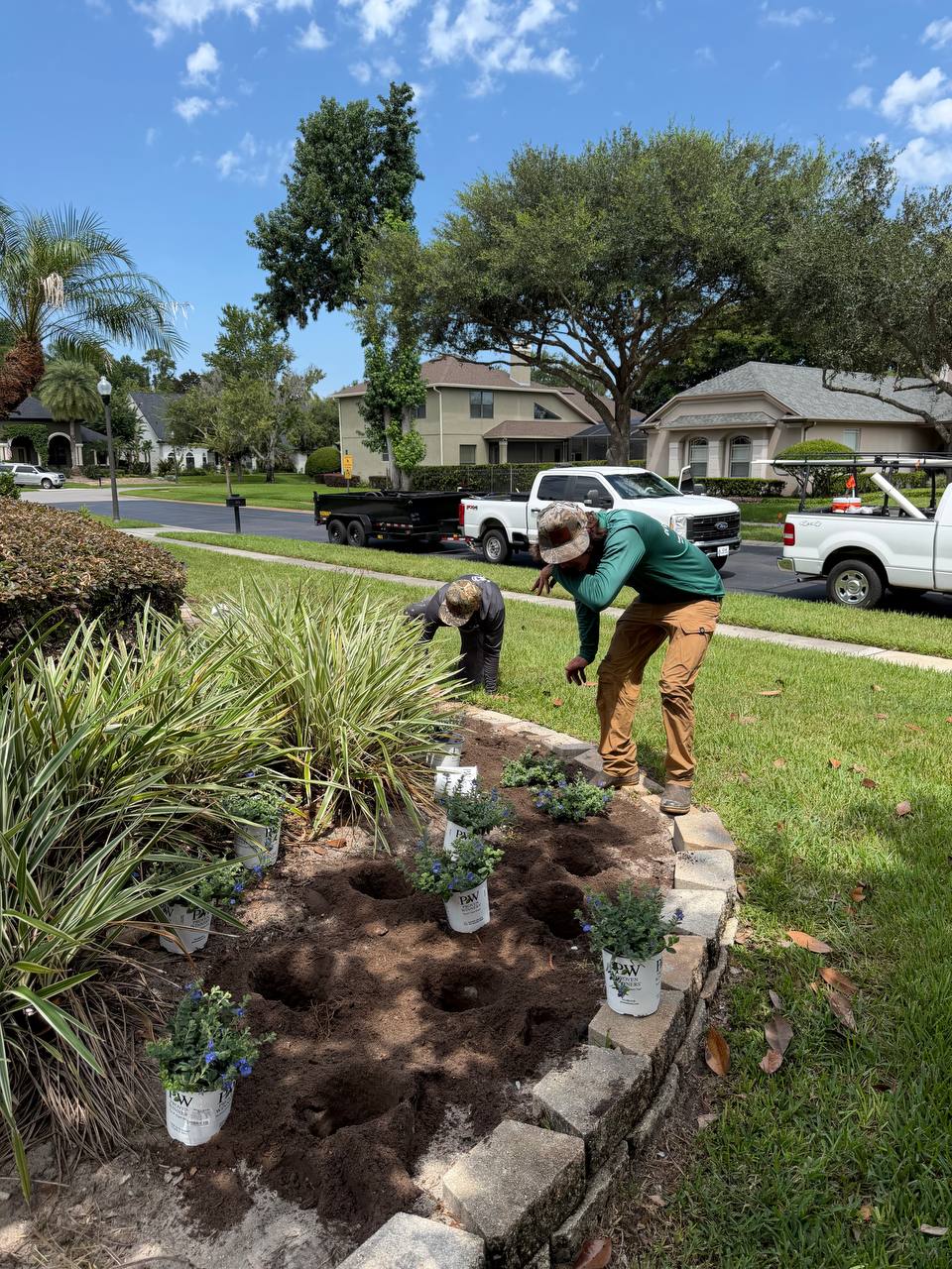 Lush Sod Installation
