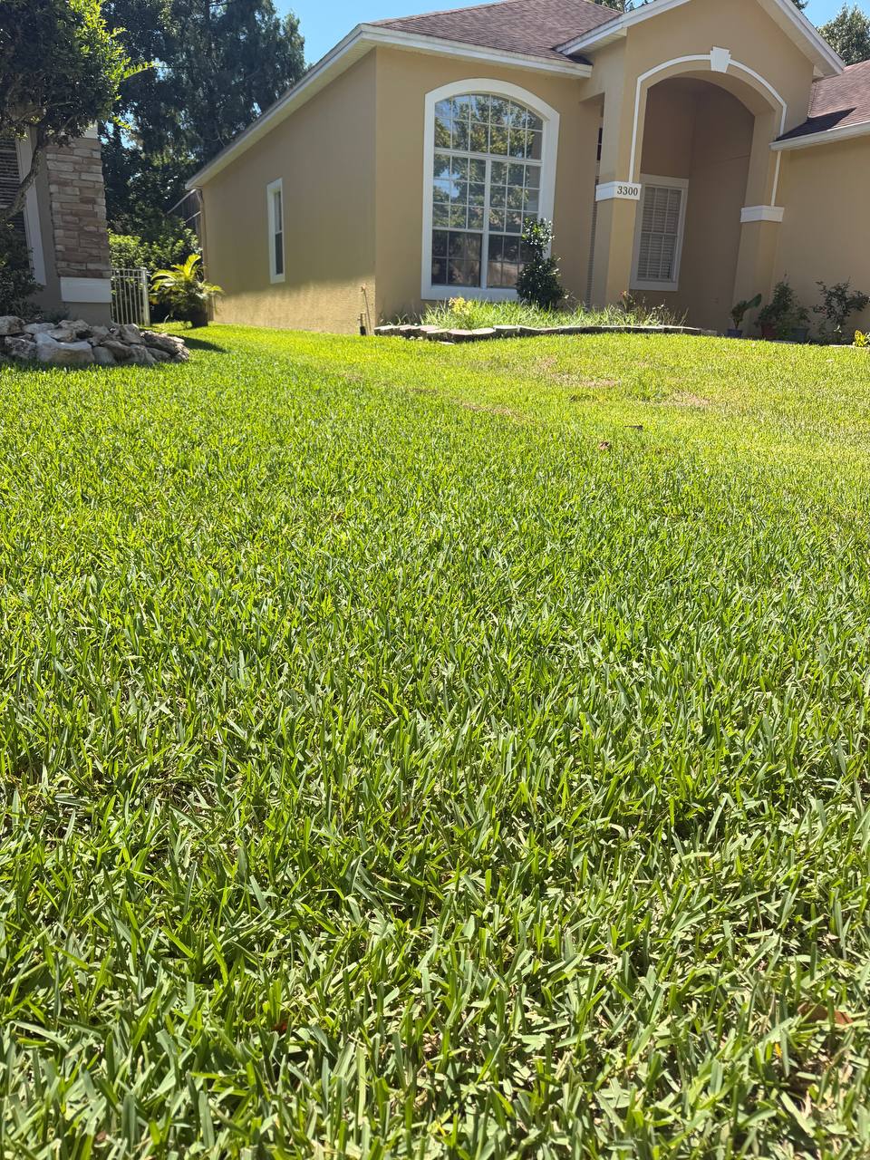 Residential Landscape
