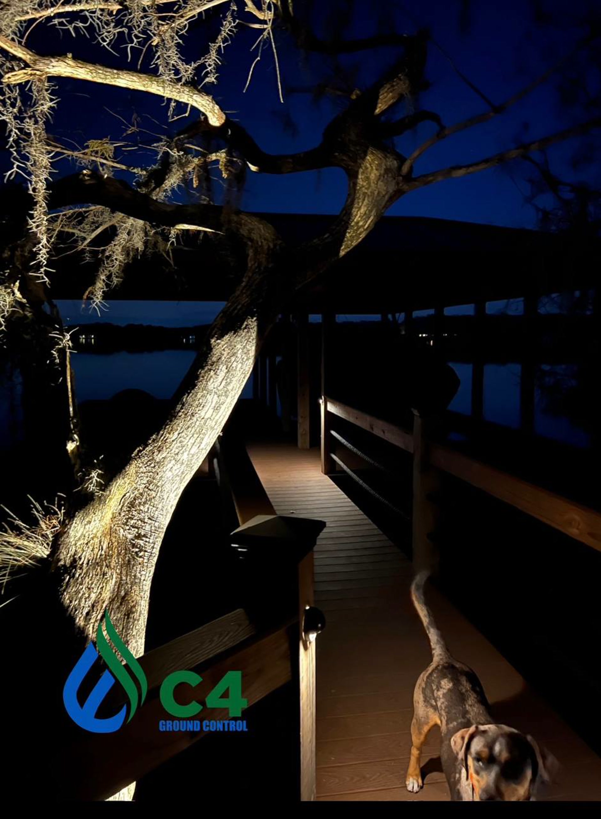 Landscape Lighting - Tree and Dock