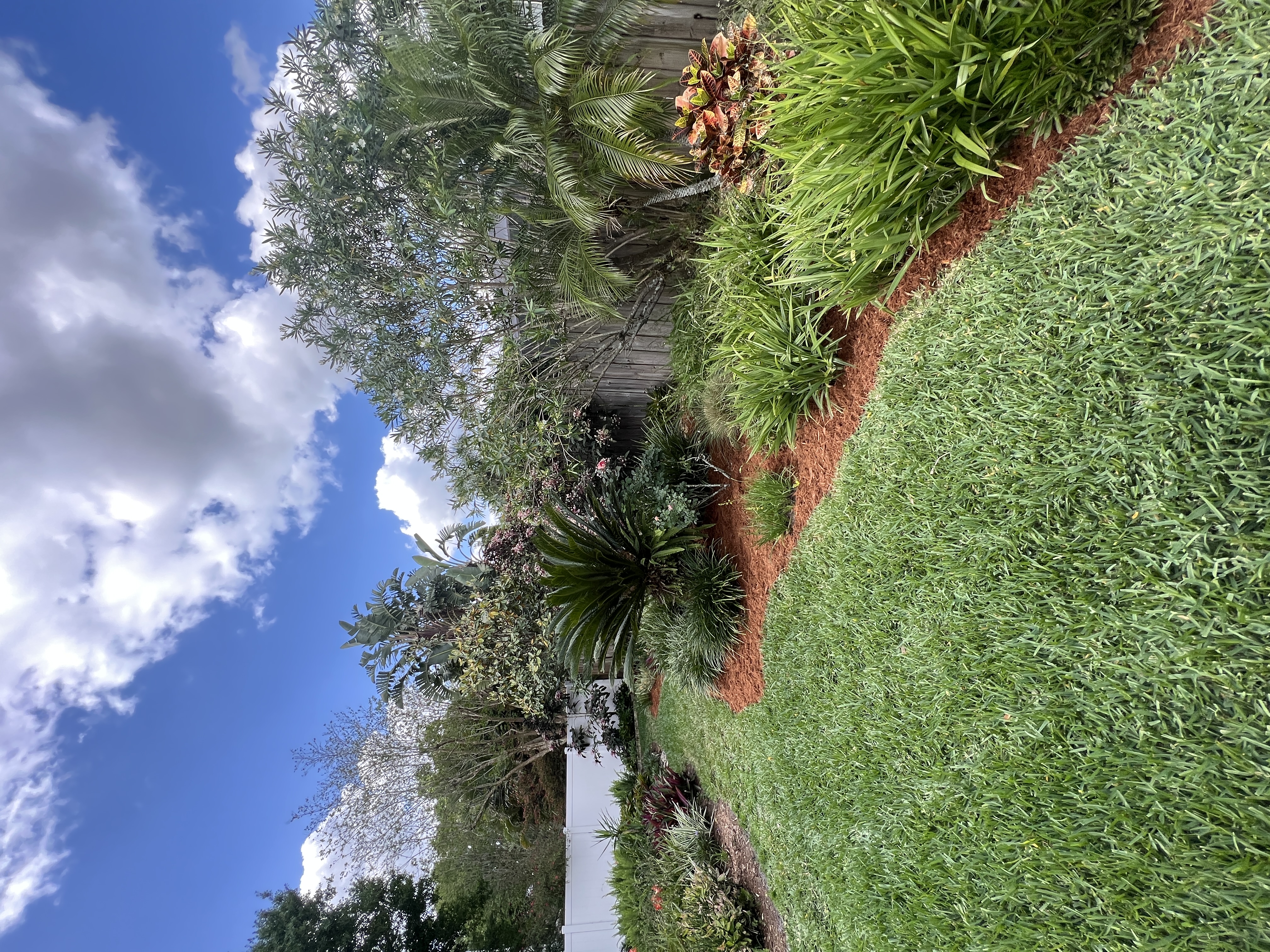Professional Landscape Design